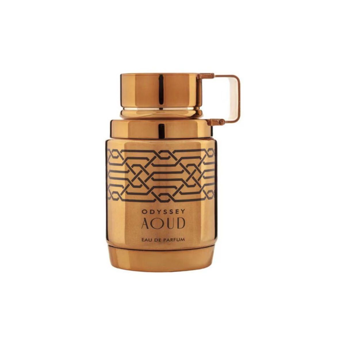 Perfume Odyssey Aoud Armaf Hombre Eau De Parfum 100ml Original