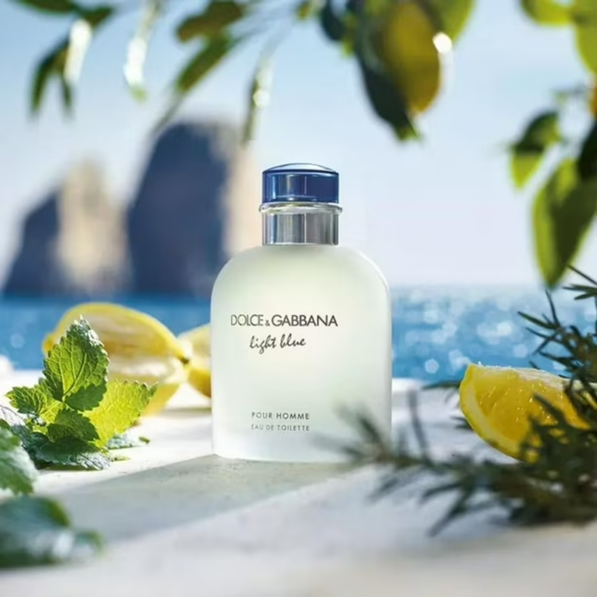 Perfume Light Blue Pour Homme Dolce & Gabbana Hombre Eau De Toilette 125ml Original