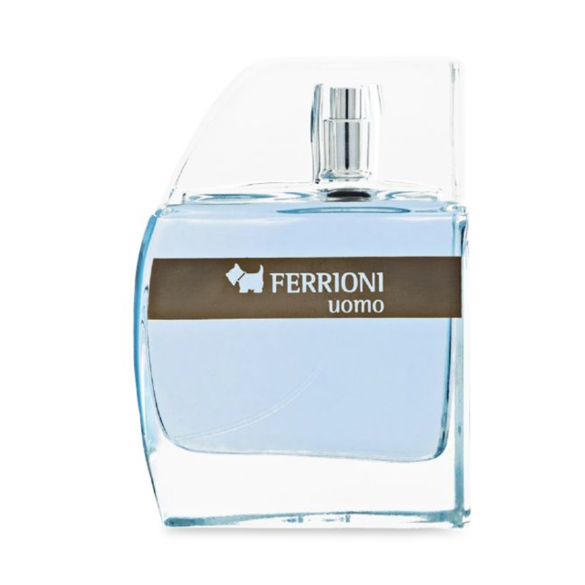 Perfume Ferrioni Uomo Hombre Eau De Toilette 100ml Original