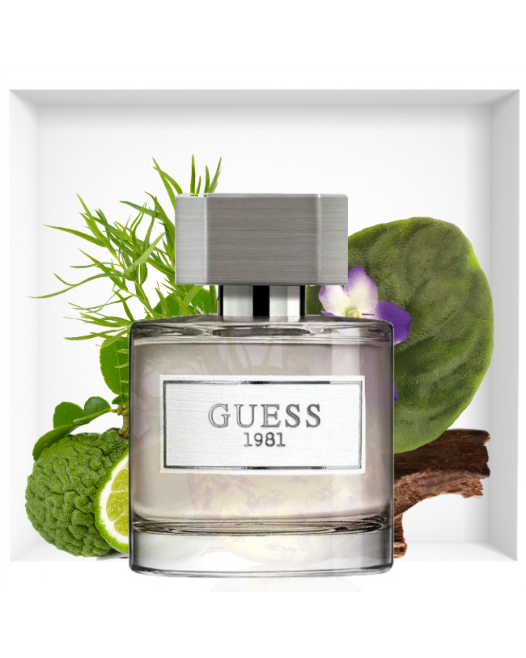Perfume Guess 1981 Hombre Eau De Toilette Original