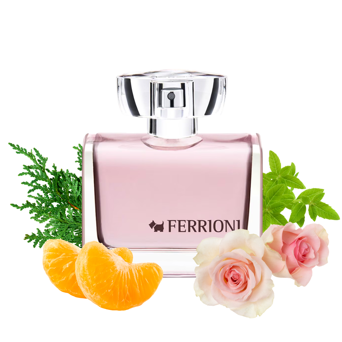 Perfume Ferrioni Rosé Mujer Eau De Toilette 100ml Original