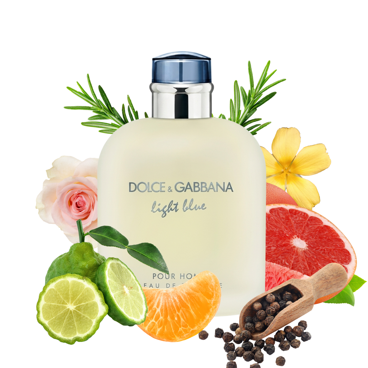 Perfume Light Blue Pour Homme Dolce & Gabbana Hombre Eau De Toilette 125ml Original